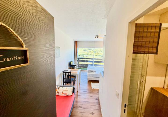 Appartement • Vente • 19m2 • Cheylade